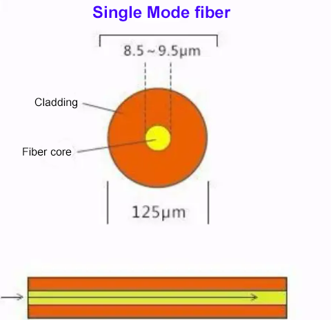 SM fiber